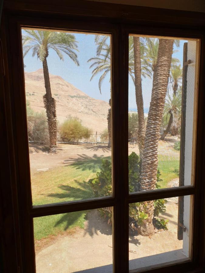 הצימר של יהושע Ein Gedi Εξωτερικό φωτογραφία