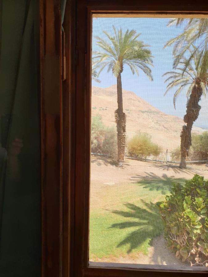 הצימר של יהושע Ein Gedi Εξωτερικό φωτογραφία